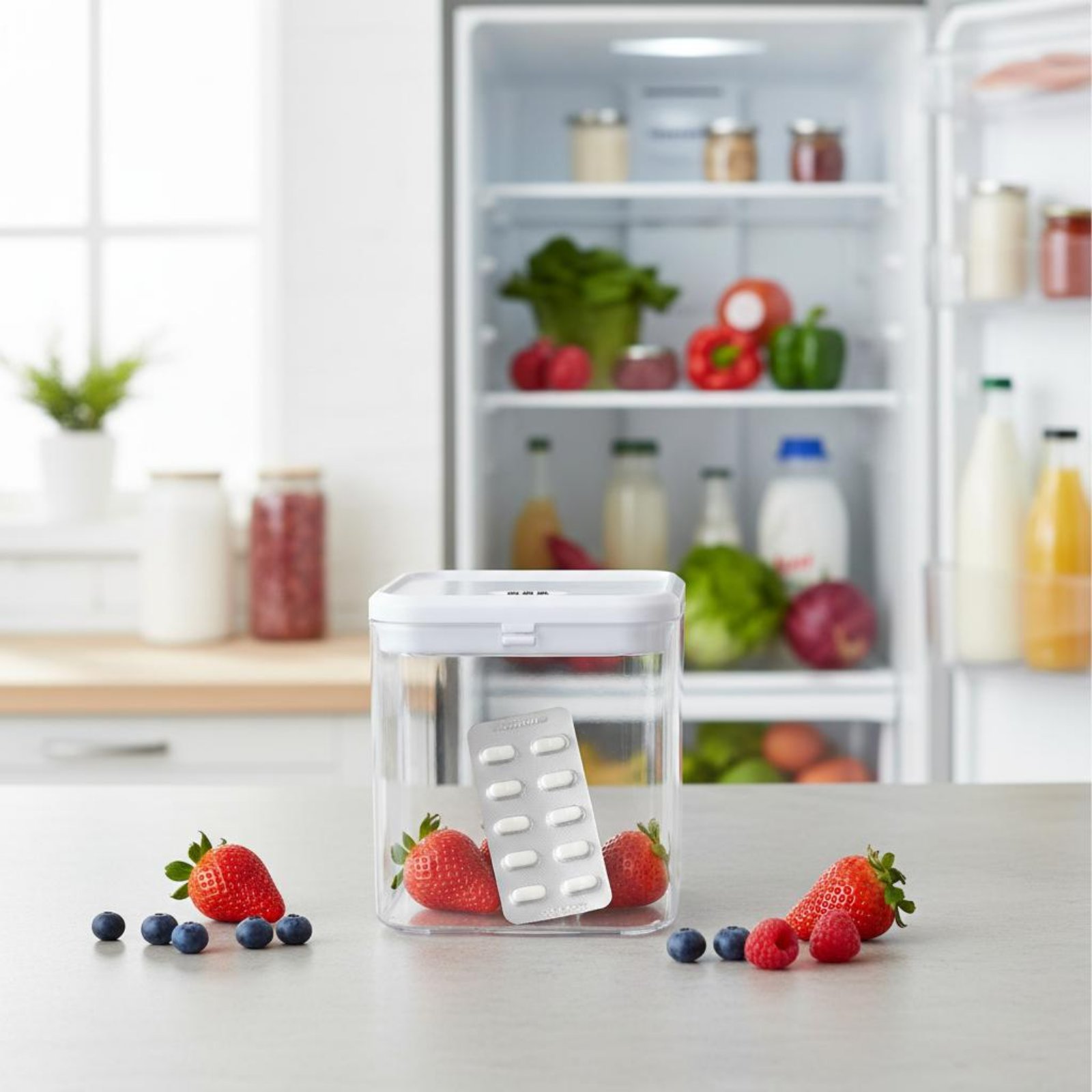 Clear Lockable Box Versatile L - đánh giá và giá Food & Snacks Colouring Book
