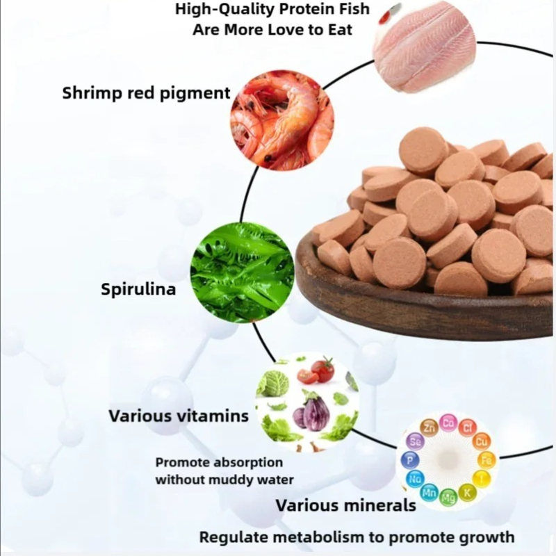 Penison Small Fish Food Patch, - đánh giá và giá Food Protein Snacks
