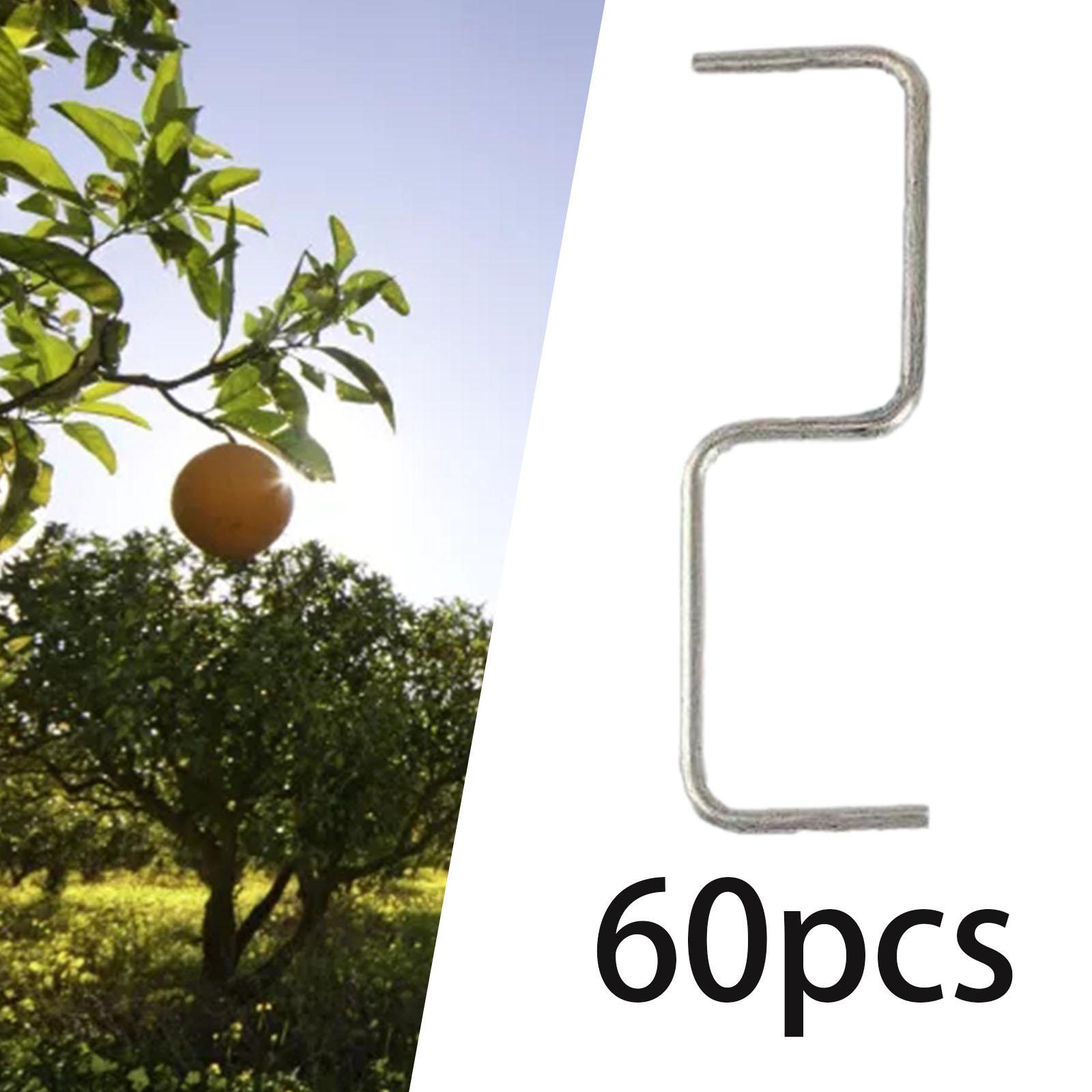 60 Pieces Fruit Tree Branch Pu - đánh giá và giá Fruit Roll Up